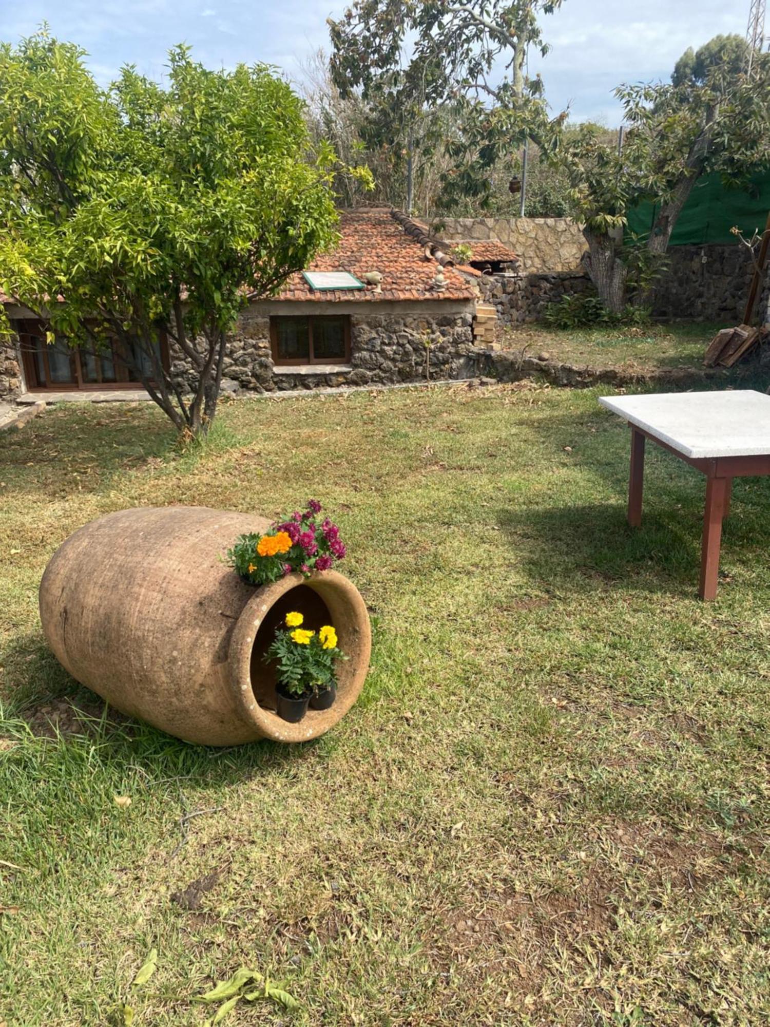 Rural House To Take A Break, La Serreria 25 - Private Garden Tacoronte Exterior photo