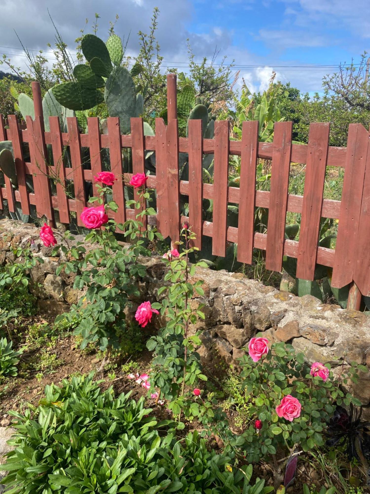 Rural House To Take A Break, La Serreria 25 - Private Garden Tacoronte Exterior photo