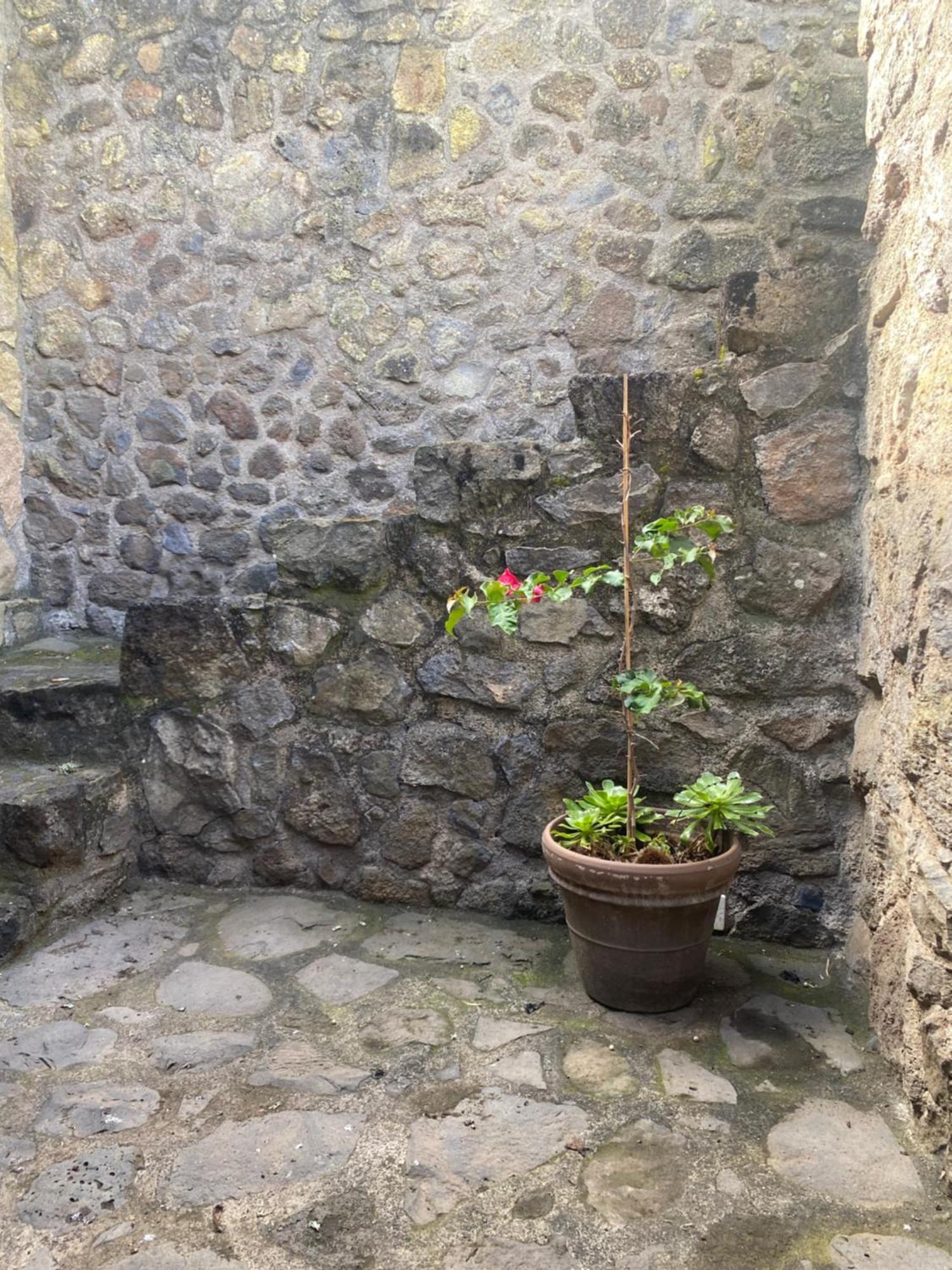 Rural House To Take A Break, La Serreria 25 - Private Garden Tacoronte Exterior photo