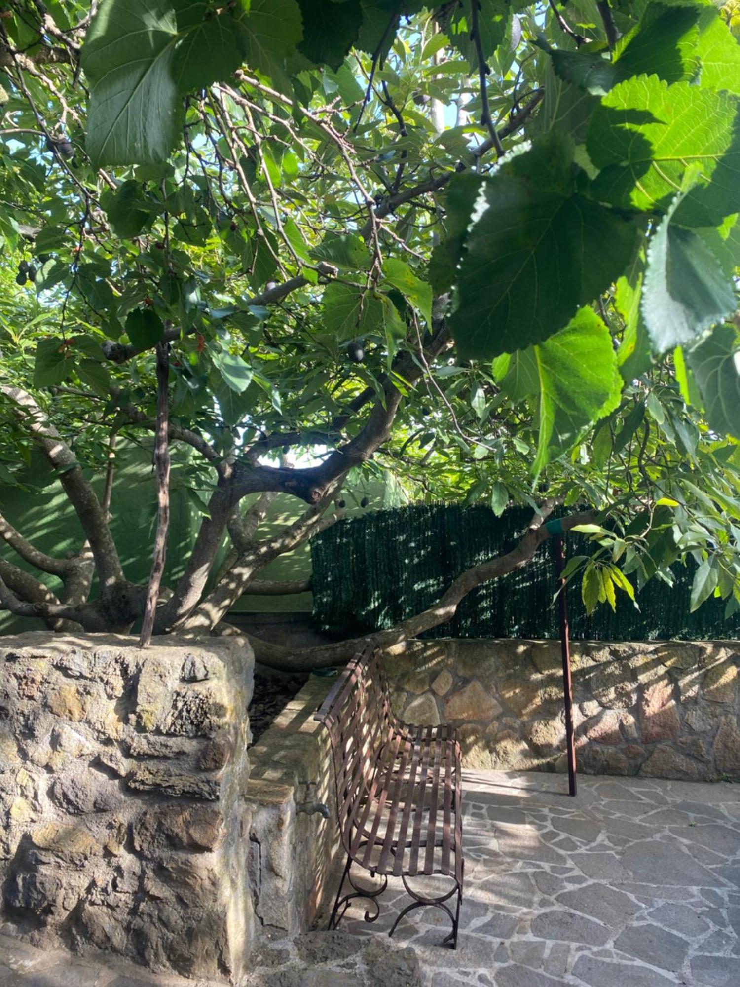 Rural House To Take A Break, La Serreria 25 - Private Garden Tacoronte Exterior photo